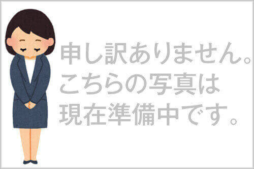 ホテルつかさ峰山 サブ写真