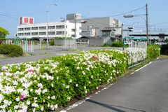 銀星自動車学園メインイメージ